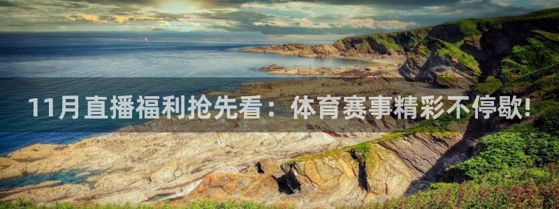 11月直播福利抢先看：体育赛事精彩不停歇!