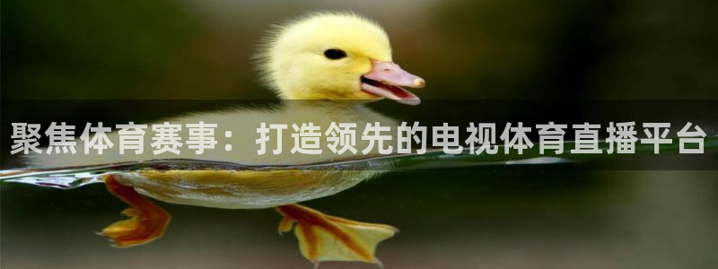 聚焦体育赛事：打造领先的电视体育直播平台