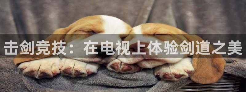 击剑竞技：在电视上体验剑道之美