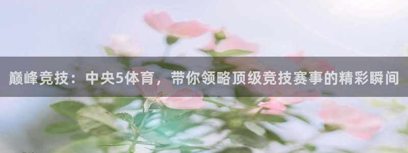 巅峰竞技：中央5体育，带你领略顶级竞技赛事的精彩瞬间