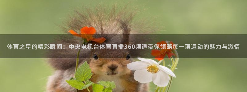 体育之星的精彩瞬间：中央电视台体育直播360频道带你领略每一项运动的魅力与激情