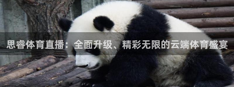 思睿体育直播：全面升级、精彩无限的云端体育盛宴