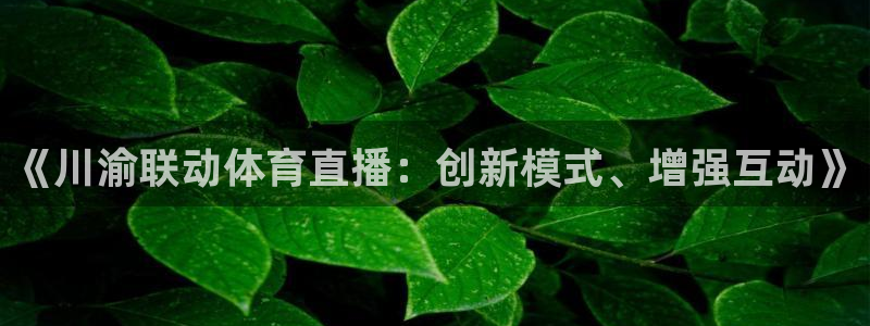 《川渝联动体育直播：创新模式、增强互动》