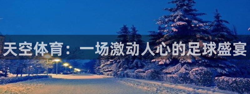 天空体育：一场激动人心的足球盛宴
