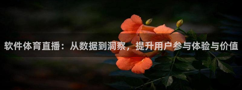 软件体育直播：从数据到洞察，提升用户参与体验与价值
