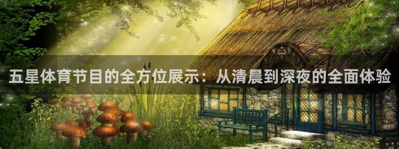 五星体育节目的全方位展示：从清晨到深夜的全面体验
