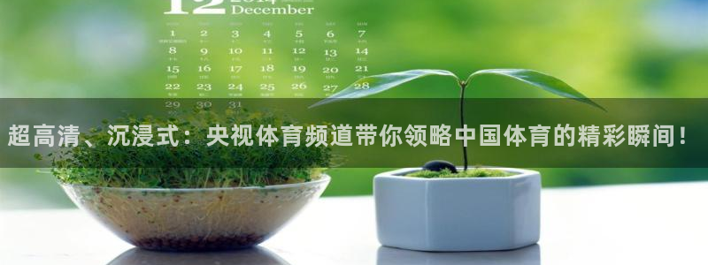 超高清、沉浸式：央视体育频道带你领略中国体育的精彩瞬间！
