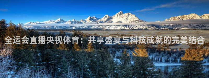 全运会直播央视体育：共享盛宴与科技成就的完美结合