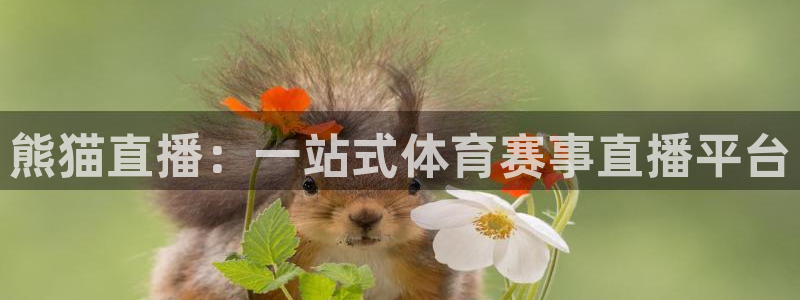 熊猫直播：一站式体育赛事直播平台