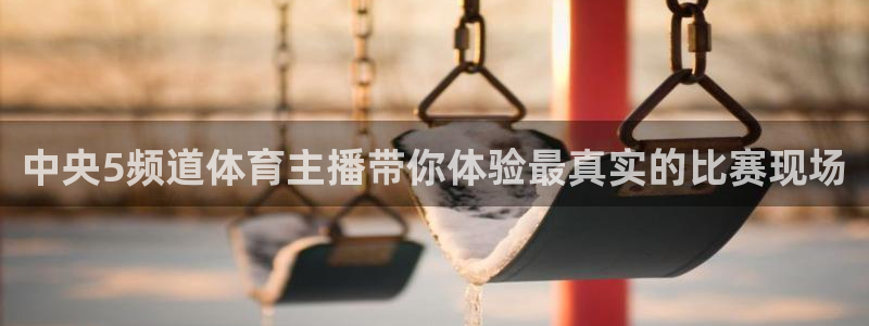 中央5频道体育主播带你体验最真实的比赛现场