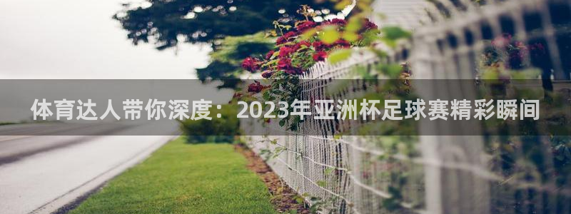 体育达人带你深度：2023年亚洲杯足球赛精彩瞬间