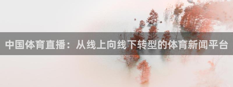 中国体育直播：从线上向线下转型的体育新闻平台