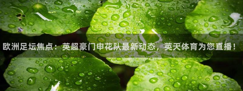 欧洲足坛焦点：英超豪门申花队最新动态，英天体育为您直播！