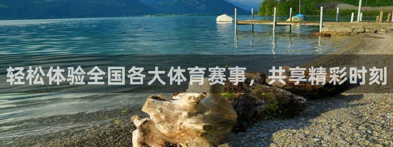轻松体验全国各大体育赛事，共享精彩时刻