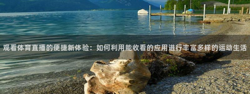 观看体育直播的便捷新体验：如何利用能收看的应用进行丰富多样的运动生活