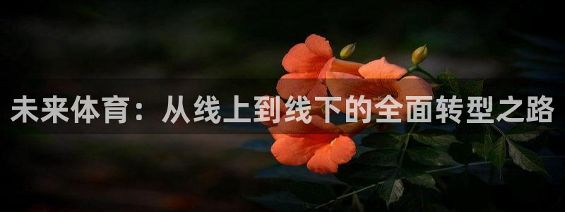 未来体育：从线上到线下的全面转型之路