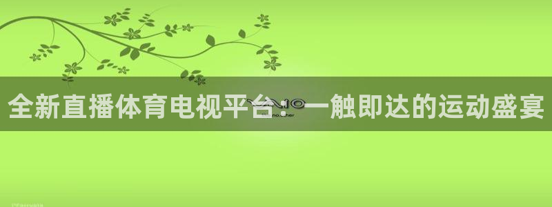 全新直播体育电视平台：一触即达的运动盛宴