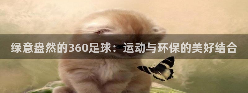 绿意盎然的360足球：运动与环保的美好结合