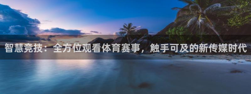智慧竞技：全方位观看体育赛事，触手可及的新传媒时代