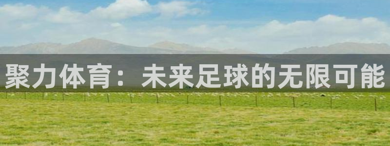 聚力体育：未来足球的无限可能