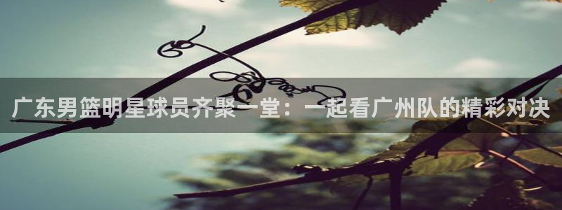 广东男篮明星球员齐聚一堂：一起看广州队的精彩对决