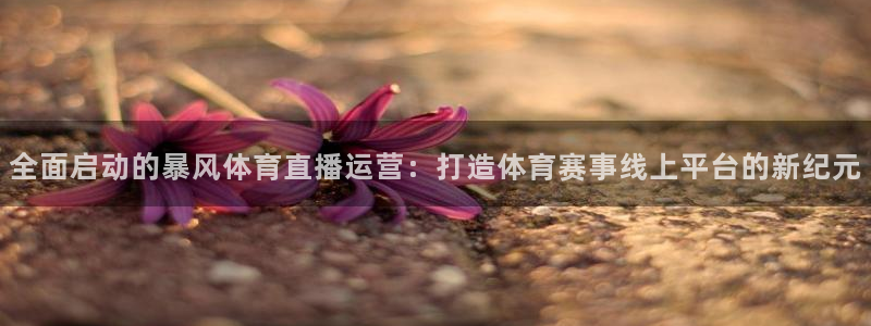全面启动的暴风体育直播运营：打造体育赛事线上平台的新纪元