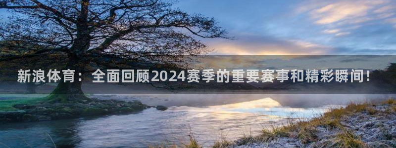 新浪体育：全面回顾2024赛季的重要赛事和精彩瞬间！