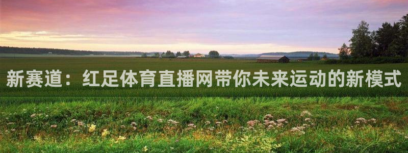 新赛道：红足体育直播网带你未来运动的新模式