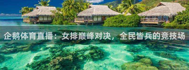 企鹅体育直播：女排巅峰对决，全民皆兵的竞技场