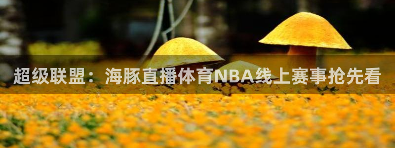 超级联盟：海豚直播体育NBA线上赛事抢先看