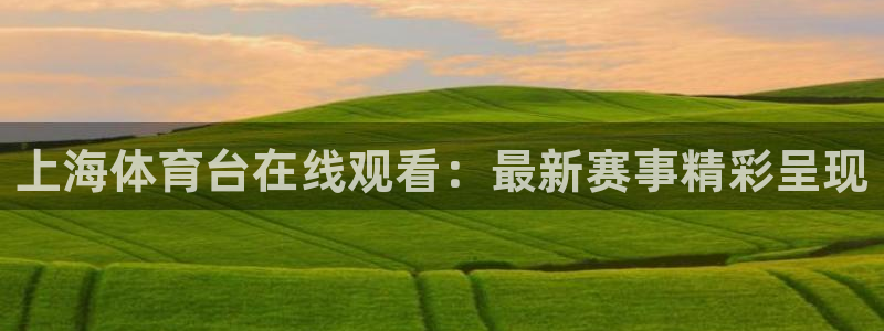 上海体育台在线观看：最新赛事精彩呈现