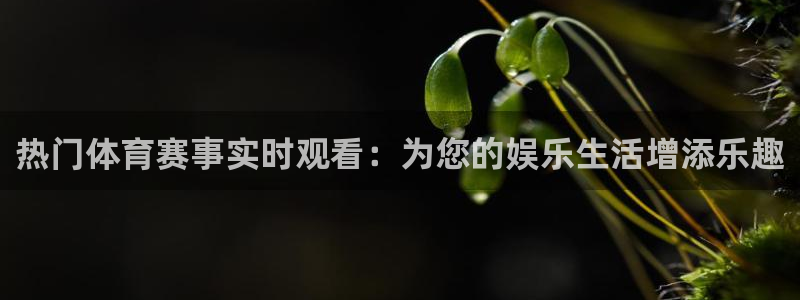 热门体育赛事实时观看：为您的娱乐生活增添乐趣