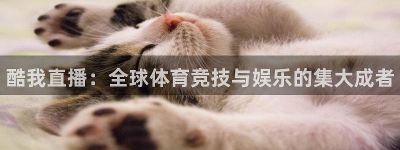 酷我直播：全球体育竞技与娱乐的集大成者