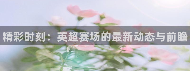 精彩时刻：英超赛场的最新动态与前瞻