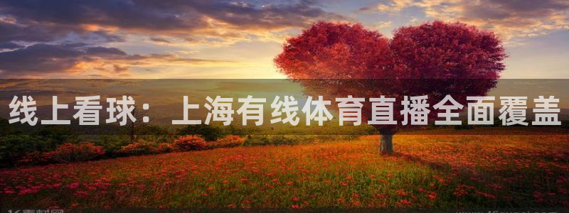 线上看球：上海有线体育直播全面覆盖