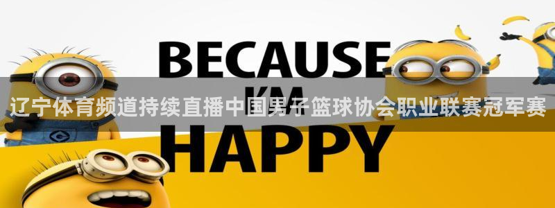 辽宁体育频道持续直播中国男子篮球协会职业联赛冠军赛