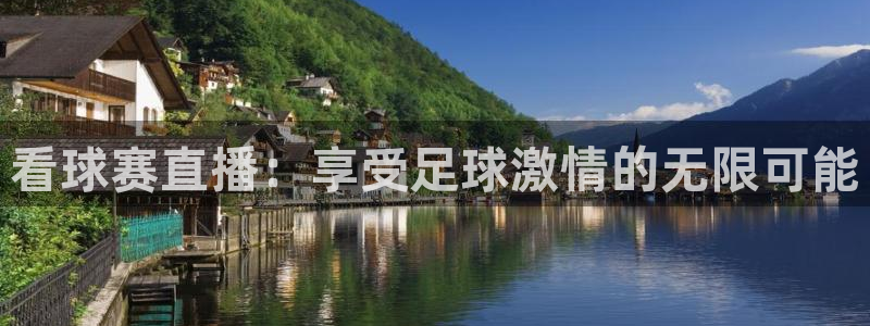 看球赛直播：享受足球激情的无限可能