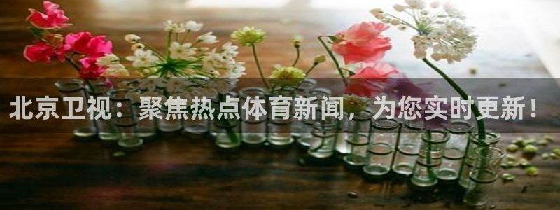 北京卫视：聚焦热点体育新闻，为您实时更新！