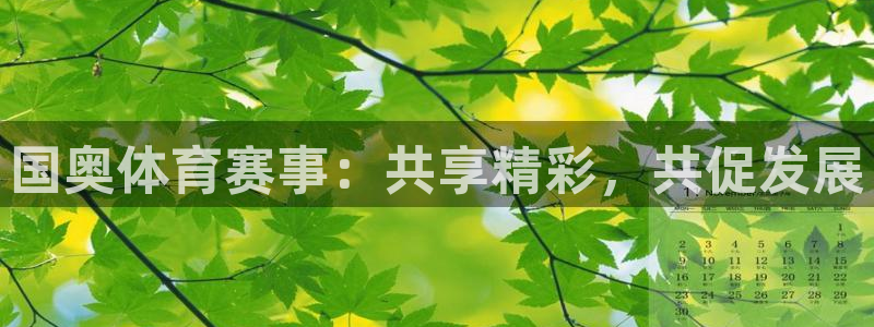 国奥体育赛事：共享精彩，共促发展