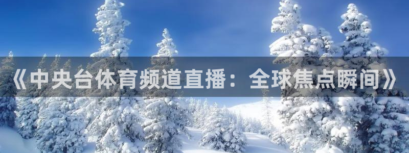 《中央台体育频道直播：全球焦点瞬间》