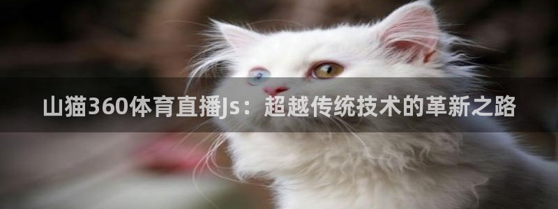 山猫360体育直播Js：超越传统技术的革新之路
