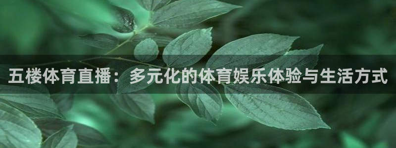 五楼体育直播：多元化的体育娱乐体验与生活方式