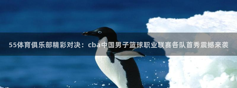 55体育俱乐部精彩对决：cba中国男子篮球职业联赛各队首秀震撼来袭