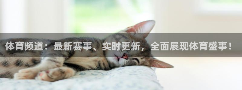 体育频道：最新赛事、实时更新，全面展现体育盛事！