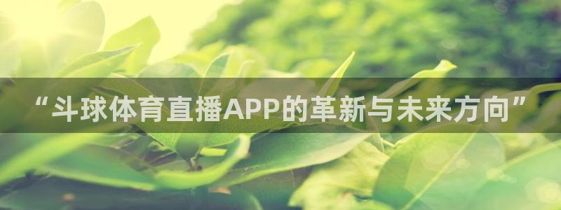 “斗球体育直播APP的革新与未来方向”