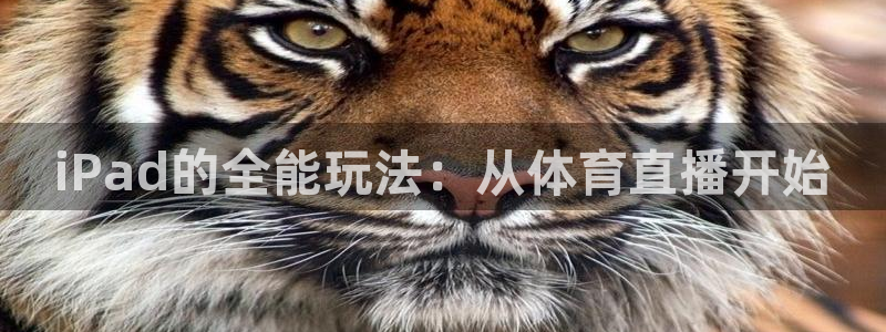 iPad的全能玩法：从体育直播开始