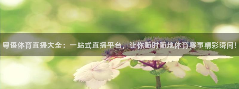 粤语体育直播大全：一站式直播平台，让你随时随地体育赛事精彩瞬间!
