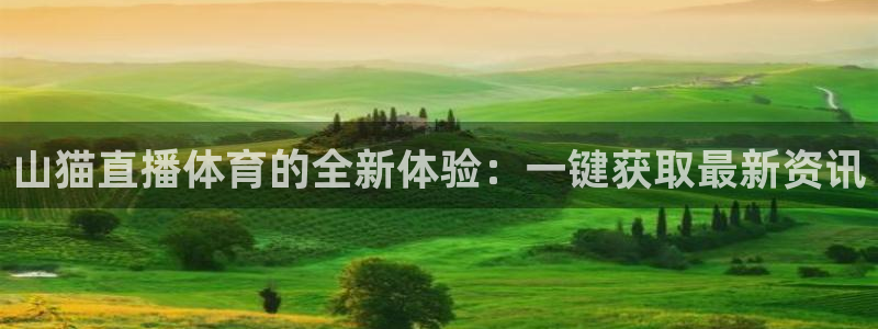 山猫直播体育的全新体验：一键获取最新资讯