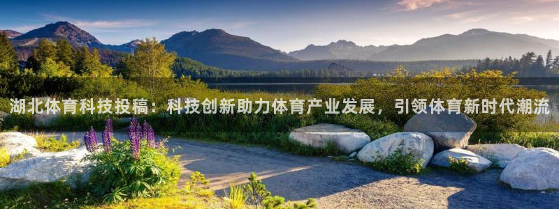 湖北体育科技投稿：科技创新助力体育产业发展，引领体育新时代潮流