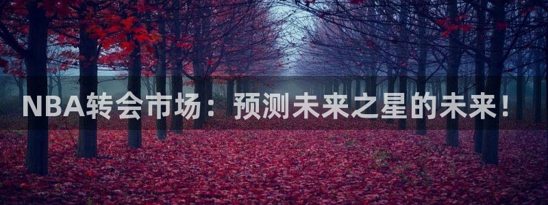NBA转会市场：预测未来之星的未来！